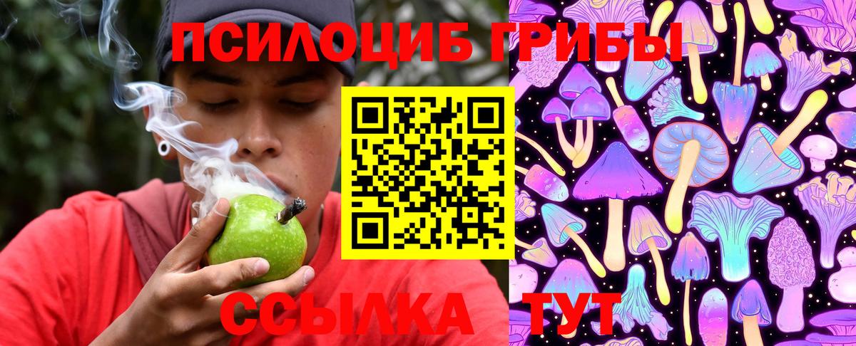 Галлюциногенные грибы MAGIC MUSHROOMS  Вход с VPN  Ачинск 