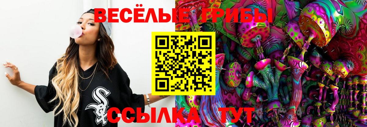 Псилоцибиновые грибы мухоморы Ачинск